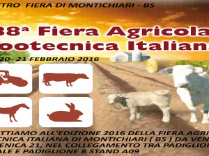Fiera agricola Zootecnica Italiana Montichiari Brescia